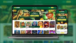 BigLucky Casino App Screenshot